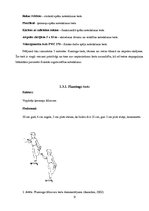 Referāts '12-13 gadus vecu skolēnu grupas fiziskās sagatavotības līmeņa noteikšana ar Euro', 9.