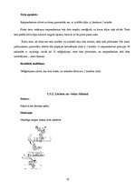 Referāts '12-13 gadus vecu skolēnu grupas fiziskās sagatavotības līmeņa noteikšana ar Euro', 10.