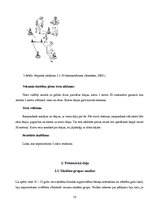 Referāts '12-13 gadus vecu skolēnu grupas fiziskās sagatavotības līmeņa noteikšana ar Euro', 12.