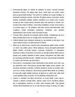 Konspekts 'Valodas apguve - divvalodīgie bērni', 11.