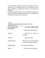 Konspekts 'Valodas apguve - divvalodīgie bērni', 12.