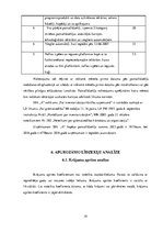 Prakses atskaite 'Prakses atskaite finanšu analīzē', 19.