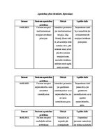 Referāts 'Aprūpes plāns - reimatoīds artrīts', 17.