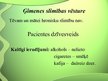 Referāts 'Aprūpes plāns - reimatoīds artrīts', 28.