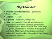 Referāts 'Aprūpes plāns - reimatoīds artrīts', 31.