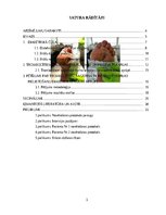 Referāts 'Trombocītiem bagātinātas plazmas un fibrīna pielietošana diabētiskās čūlas aprūp', 3.