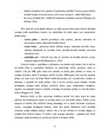 Referāts 'Trombocītiem bagātinātas plazmas un fibrīna pielietošana diabētiskās čūlas aprūp', 12.