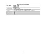 Referāts 'Trombocītiem bagātinātas plazmas un fibrīna pielietošana diabētiskās čūlas aprūp', 40.