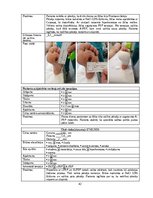 Referāts 'Trombocītiem bagātinātas plazmas un fibrīna pielietošana diabētiskās čūlas aprūp', 42.