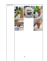 Referāts 'Trombocītiem bagātinātas plazmas un fibrīna pielietošana diabētiskās čūlas aprūp', 49.