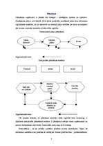 Konspekts 'Personāla menedžmenta stratēģiskais plāns', 3.