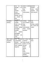 Konspekts 'Personāla menedžmenta stratēģiskais plāns', 5.