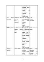 Konspekts 'Personāla menedžmenta stratēģiskais plāns', 6.