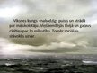 Prezentācija 'Liktenīgais lēmums un tā ietekme uz varoņu dzīvi R.Ezeras romānā "Aka"', 28.