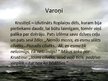 Prezentācija 'Liktenīgais lēmums un tā ietekme uz varoņu dzīvi R.Ezeras romānā "Aka"', 33.