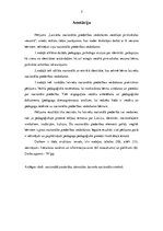 Diplomdarbs 'Latviešu nacionālās piederības veidošanās vecākajā pirmsskolas vecumā', 3.