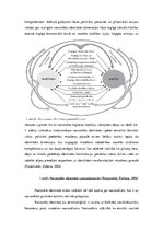 Diplomdarbs 'Latviešu nacionālās piederības veidošanās vecākajā pirmsskolas vecumā', 32.