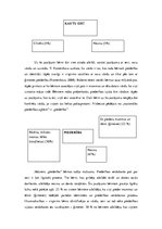 Diplomdarbs 'Latviešu nacionālās piederības veidošanās vecākajā pirmsskolas vecumā', 50.