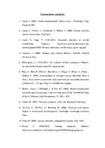 Diplomdarbs 'Latviešu nacionālās piederības veidošanās vecākajā pirmsskolas vecumā', 74.