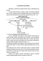 Diplomdarbs 'Nedzīvības apdrošināšanas tirgus attīstība Latvijā', 11.