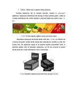 Referāts 'Šokolādes tāfelīšu ražošanas projekts', 7.