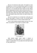 Referāts 'Šokolādes tāfelīšu ražošanas projekts', 10.