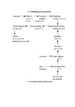 Referāts 'Šokolādes tāfelīšu ražošanas projekts', 15.