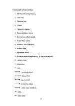 Referāts 'Šokolādes tāfelīšu ražošanas projekts', 31.