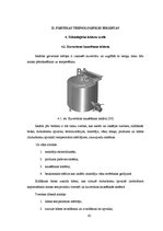 Referāts 'Šokolādes tāfelīšu ražošanas projekts', 42.