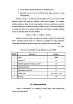 Referāts 'Šokolādes tāfelīšu ražošanas projekts', 43.