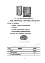 Referāts 'Šokolādes tāfelīšu ražošanas projekts', 44.