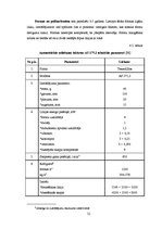 Referāts 'Šokolādes tāfelīšu ražošanas projekts', 52.