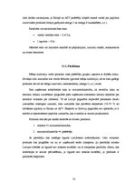 Referāts 'Šokolādes tāfelīšu ražošanas projekts', 73.