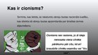 Prezentācija 'Cionisms', 2.