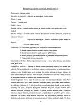 Prakses atskaite 'Integrētā prakse sākumskolā', 4.