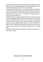 Prakses atskaite 'Integrētā prakse sākumskolā', 6.