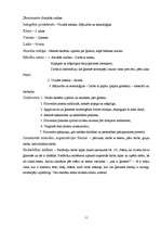 Prakses atskaite 'Integrētā prakse sākumskolā', 11.