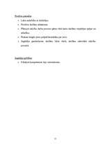 Prakses atskaite 'Integrētā prakse sākumskolā', 15.