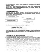 Paraugs 'Uzņēmuma organizatoriskā struktūra un personālvadības galvenās vadlīnijas', 3.