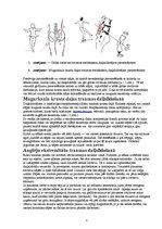 Konspekts 'Traumu profilakse daiļslidošanā', 5.