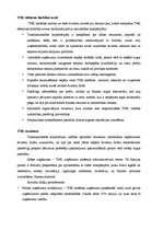 Referāts 'Starptautiskās uzņēmējdarbības organizatoriskās formas', 3.