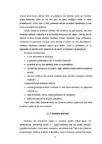 Diplomdarbs 'Starptautiskā reklāma kā mārketinga komunikāciju kompleksa elements Baltijas val', 43.