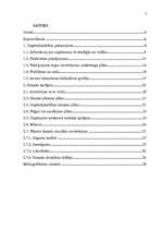 Biznesa plāns 'Biznesa plāns', 3.