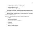 Biznesa plāns 'Biznesa plāns', 5.