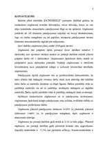 Biznesa plāns 'Biznesa plāns', 6.