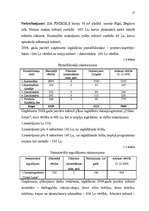 Biznesa plāns 'Biznesa plāns', 12.