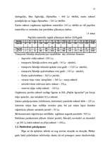 Biznesa plāns 'Biznesa plāns', 13.