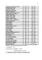 Biznesa plāns 'Biznesa plāns', 15.