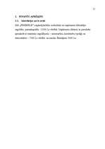 Biznesa plāns 'Biznesa plāns', 21.