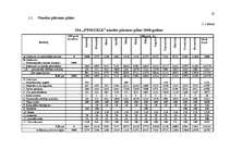 Biznesa plāns 'Biznesa plāns', 22.